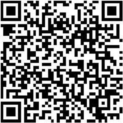 Grundplatte Lochplattensystem Grndpl-Ral7035-Lichtgrau-228X495Mm