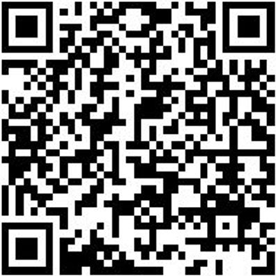 Fahrwagen Lochplattensystem Fahrwg-Lopl-2Seit-2X2L-Ral7035/5010