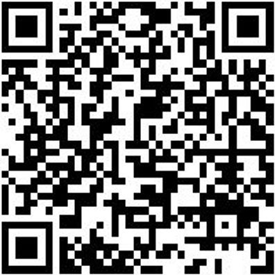 Fahrwagen Lochplattensystem Fahrwg-Lopl-2Seit-2X2L-Ral7035/7016