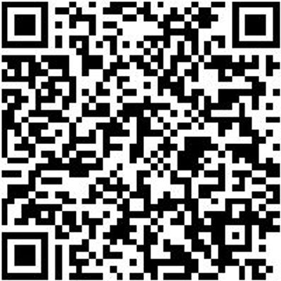 Fahrwagen Lochplattensystem Fahrwg-Lopl-1Seit-Leer-3L-Ral7035