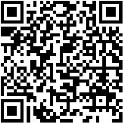 Fahrwagen Lochplattensystem Fahrwg-Lopl-2Seit-2X2L-Ral7035/7035