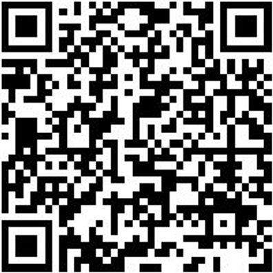 Fahrwagen Lochplattensystem Fahrwg-Lopl-2Seit-2X2L-Ral7035/3020