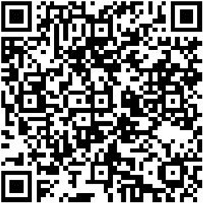 Halter Lochplattensystem Shrdrhrack-Unbest-Schwarz-310X100X185Mm