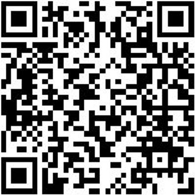 Halter Lochplattensystem Halt-Rohre-35X100Mm