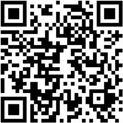 Halter Lochplattensystem Ablgfach-Loplsys-450X170Mm