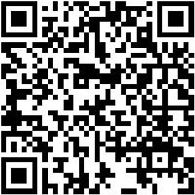 Halter Lochplattensystem Halt-Paar-Set-Display-Ral9005