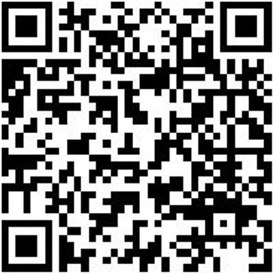 Halter Lochplattensystem Halt-Systembox