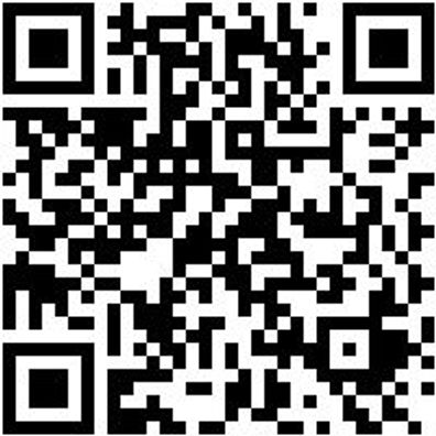 Arbeitspullover Sweatshirt Graphit Xl