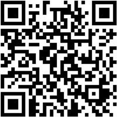 Arbeitspullover Sweatshirt Graphit Xxl