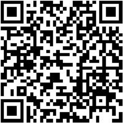 Motoreinstellwerkzeug Moteinstlwzg-Blck-Set-12Tlg