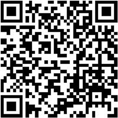 Motoreinstellwerkzeug Moteinstlwzg-Blck-Set-4Tlg