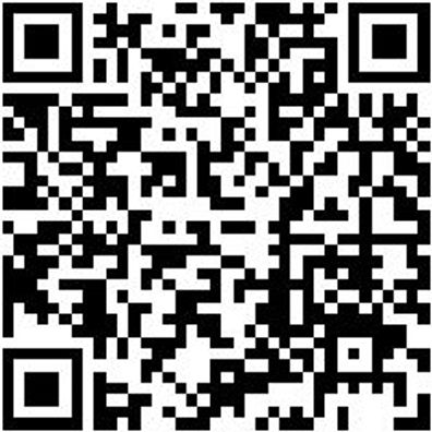 Motoreinstellwerkzeug Moteinstlwzg-Blck-Set-4Tlg