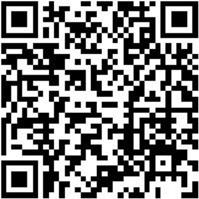 Motoreinstellwerkzeug Moteinstlwzg-Blck-Set-7Tlg