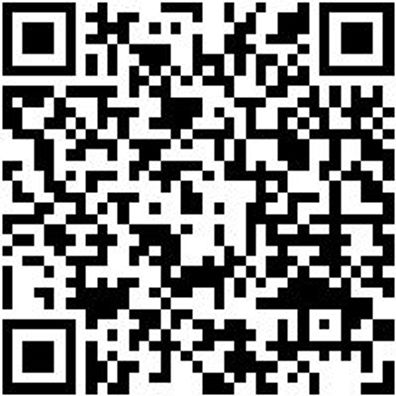 Arbeitspullover Half-Zip Fleece Half Zip Luca Grau L