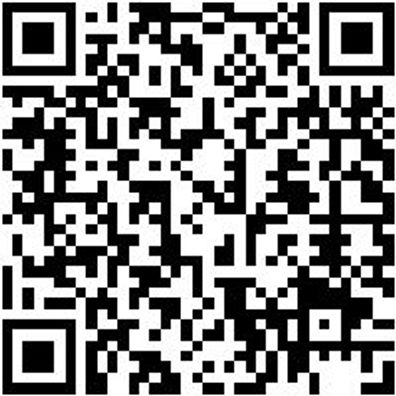 Arbeitsshirt Longsleeve Job+ Schwarz 4Xl