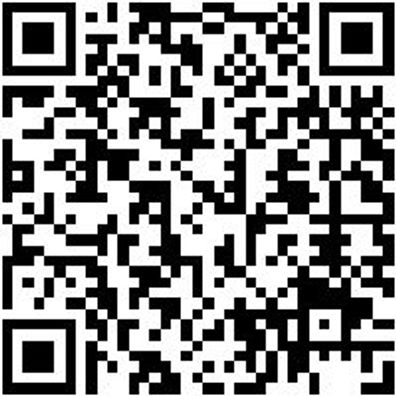 Arbeitsshirt Longsleeve Job+ Schwarz 6Xl