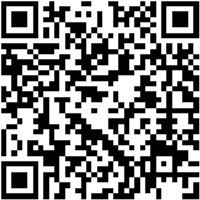 Arbeitsshirt Longsleeve Ls Job+ Anthrazit 3Xl