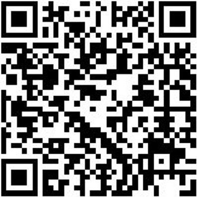 Arbeitsshirt Longsleeve Ls Job+ Anthrazit 6Xl