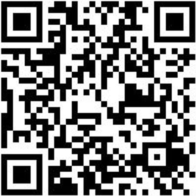 Arbeitsshorts Bermuda Nature Grau 46