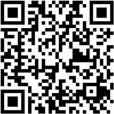 Arbeitsshorts Bermuda Nature Grau 50