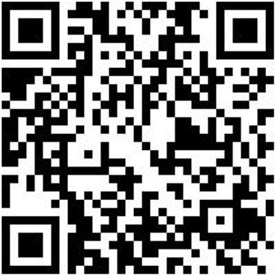 Arbeitsshorts Bermuda Nature Grau 52