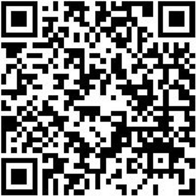 Arbeitsshorts Bermuda Stretch X Gruen 52