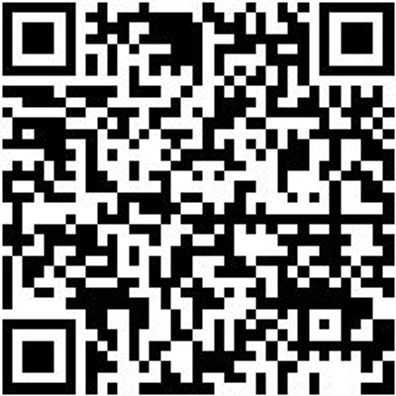 Arbeitsshorts Bermuda Star Cp Schwarz 48