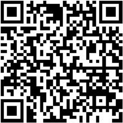 Arbeitsshorts Bermuda Star Cp Schwarz 50