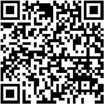 Arbeitsshorts Bermuda Star Cp Schwarz 58