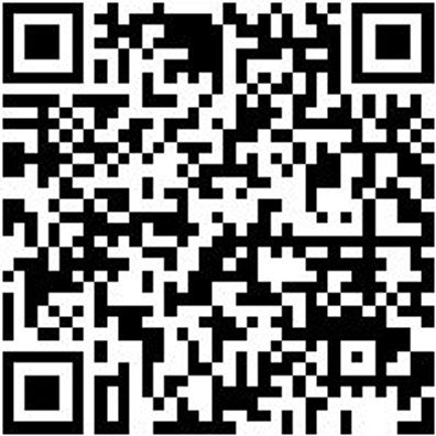 Arbeitsshorts Bermuda Star Cp Schwarz 62