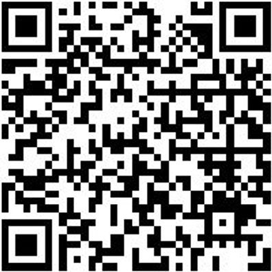 Arbeitsshorts Arbeitsshorts Damen Stretch X 36