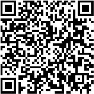 Aufstecksenker Aufsteser-Bo-Hss-D10Mm