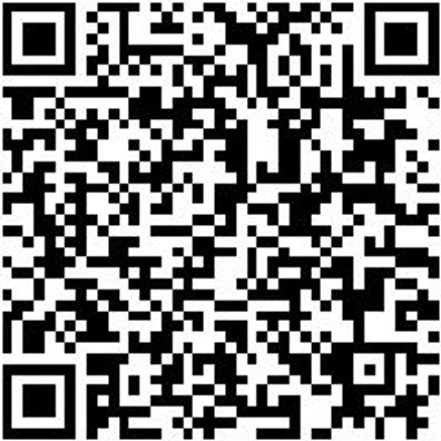 Aufstecksenker Aufsteser-Bo-Hss-D5Mm