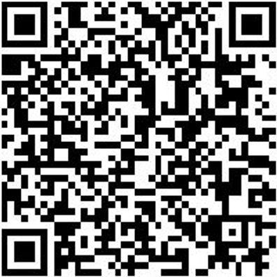 Aufstecksenker Aufsteser-Bo-Hss-D4Mm