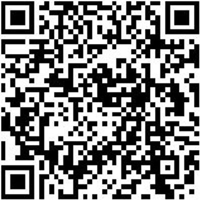 Aufsteckversenker Schlangenbohrer Aufsteser-Bo-Schlang-D75Mm