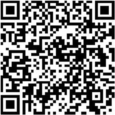 Aufsteckversenker Schlangenbohrer Aufsteser-Bo-Schlang-D65Mm