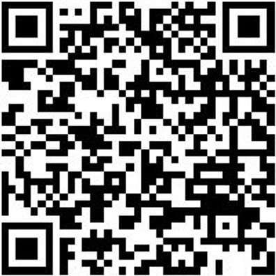 Ausbeulsortiment/Set Ausbeul-Sort-Ausbeulwzg-9Tlg