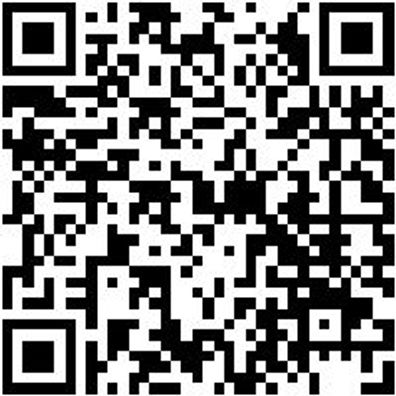 Arbeitsjacke Parka Nature Granitgrau Xs