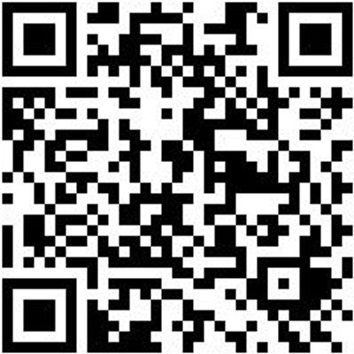 Arbeitsjacke Parka Nature Granitgrau S