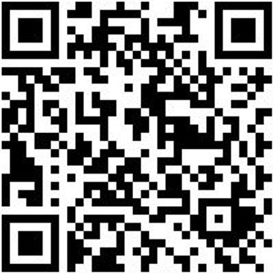 Arbeitsjacke Parka Nature Granitgrau M