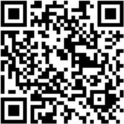 Arbeitsjacke Parka Nature Granitgrau L