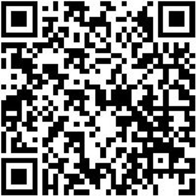 Arbeitsjacke Parka Nature Granitgrau Xl