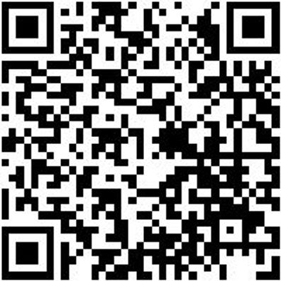 Arbeitsjacke Parka Nature Granitgrau Xxl