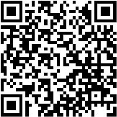 Arbeitsjacke Parka Nature Granitgrau 3Xl