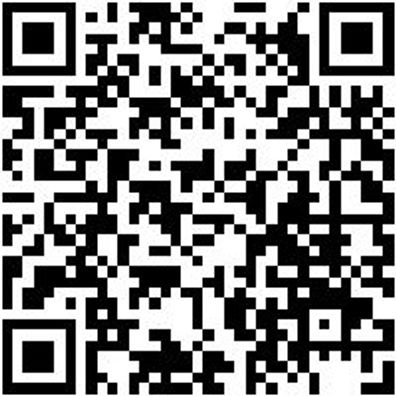 Arbeitsjacke Parka Nature Kastanienbraun Xs