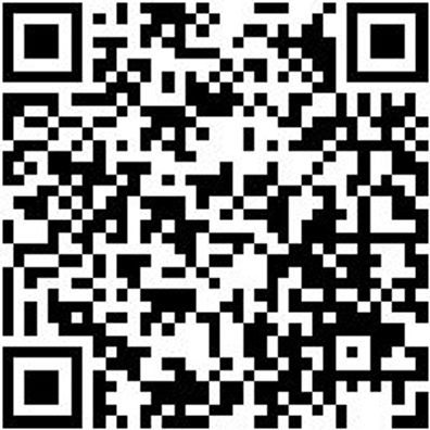 Arbeitsjacke Parka Nature Kastanienbraun Xl