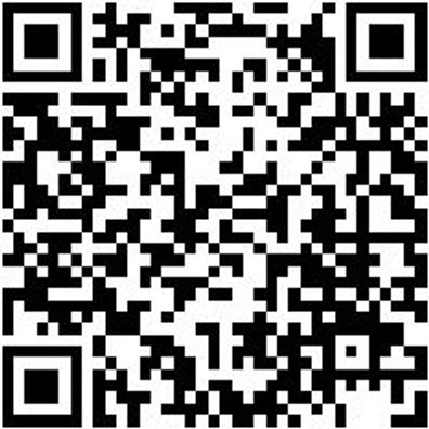 Arbeitsjacke Parka Nature Kastanienbraun Xxl