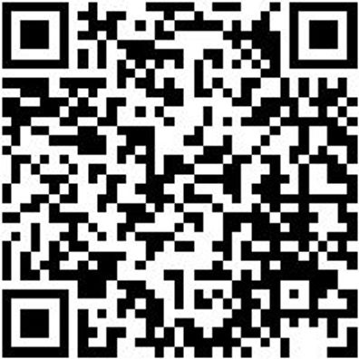 Arbeitsjacke Parka Nature Kastanienbraun 3Xl