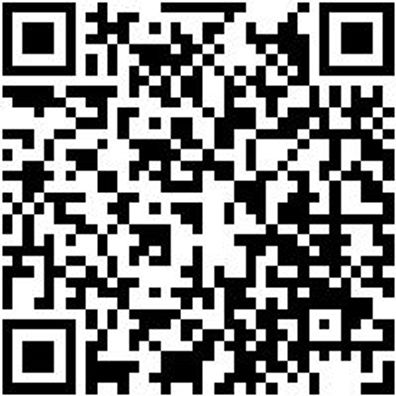 Arbeitsjacke Parka Nature Schieferblau Xs