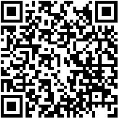 Arbeitsjacke Parka Nature Schieferblau M